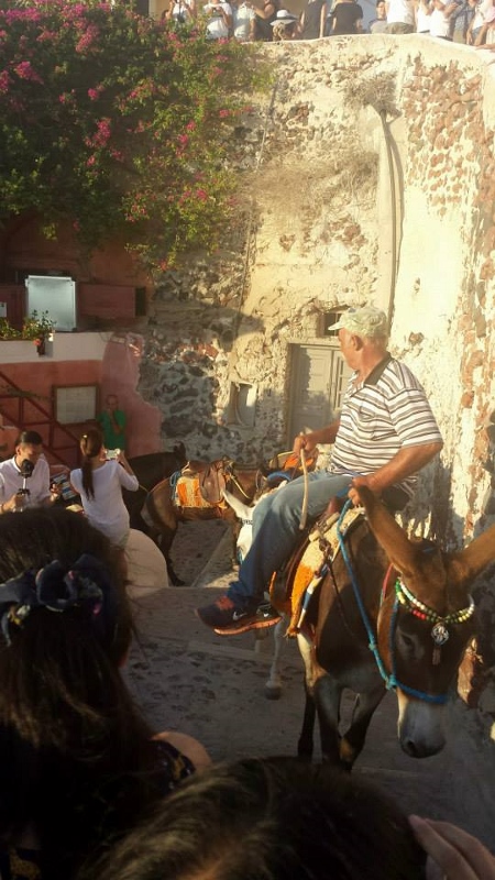 Burrinhos (símbolo local)