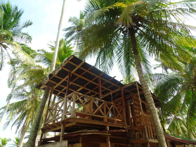 SAMSUNG CAMERA PICTURES