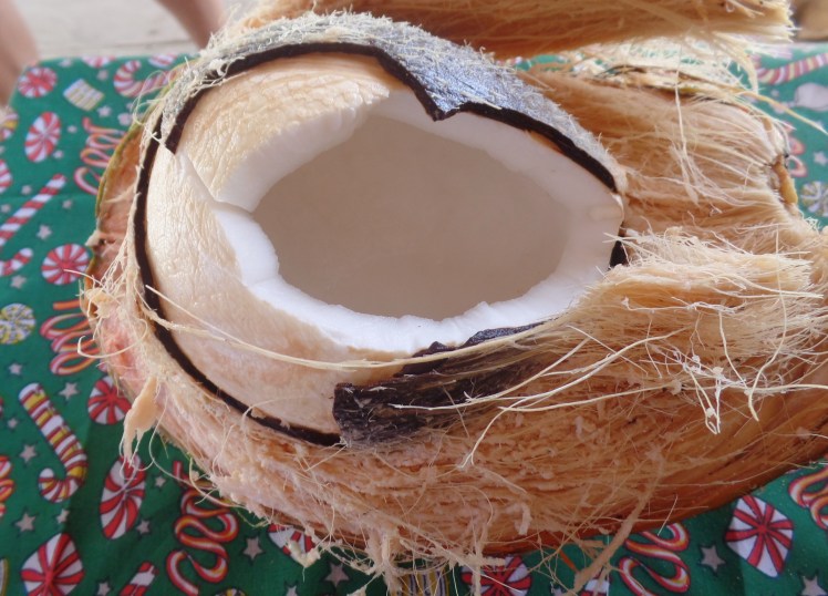 SAMSUNG CAMERA PICTURES