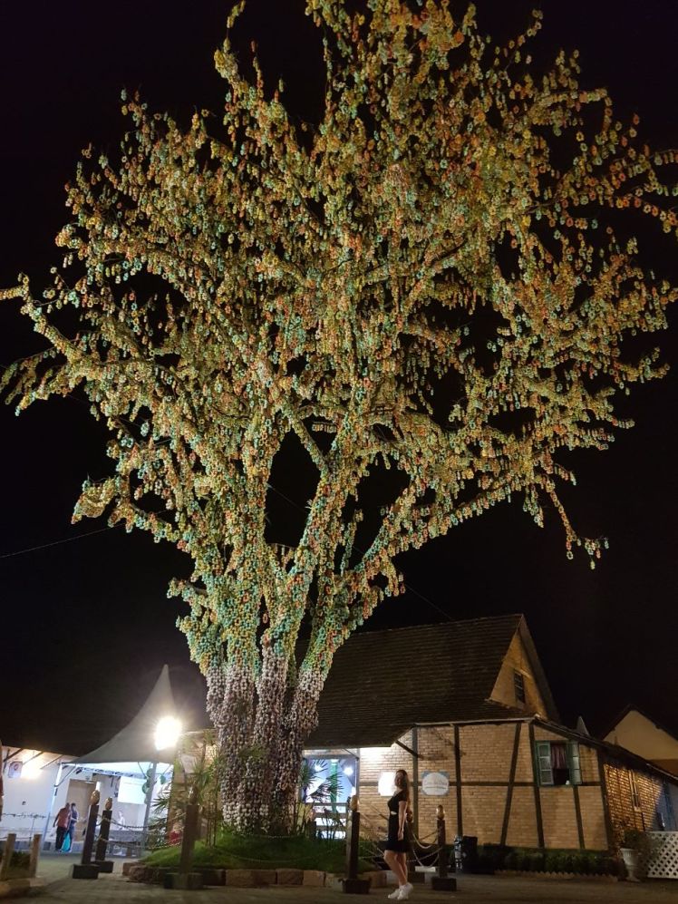 100 mil ovos de casquinha natural