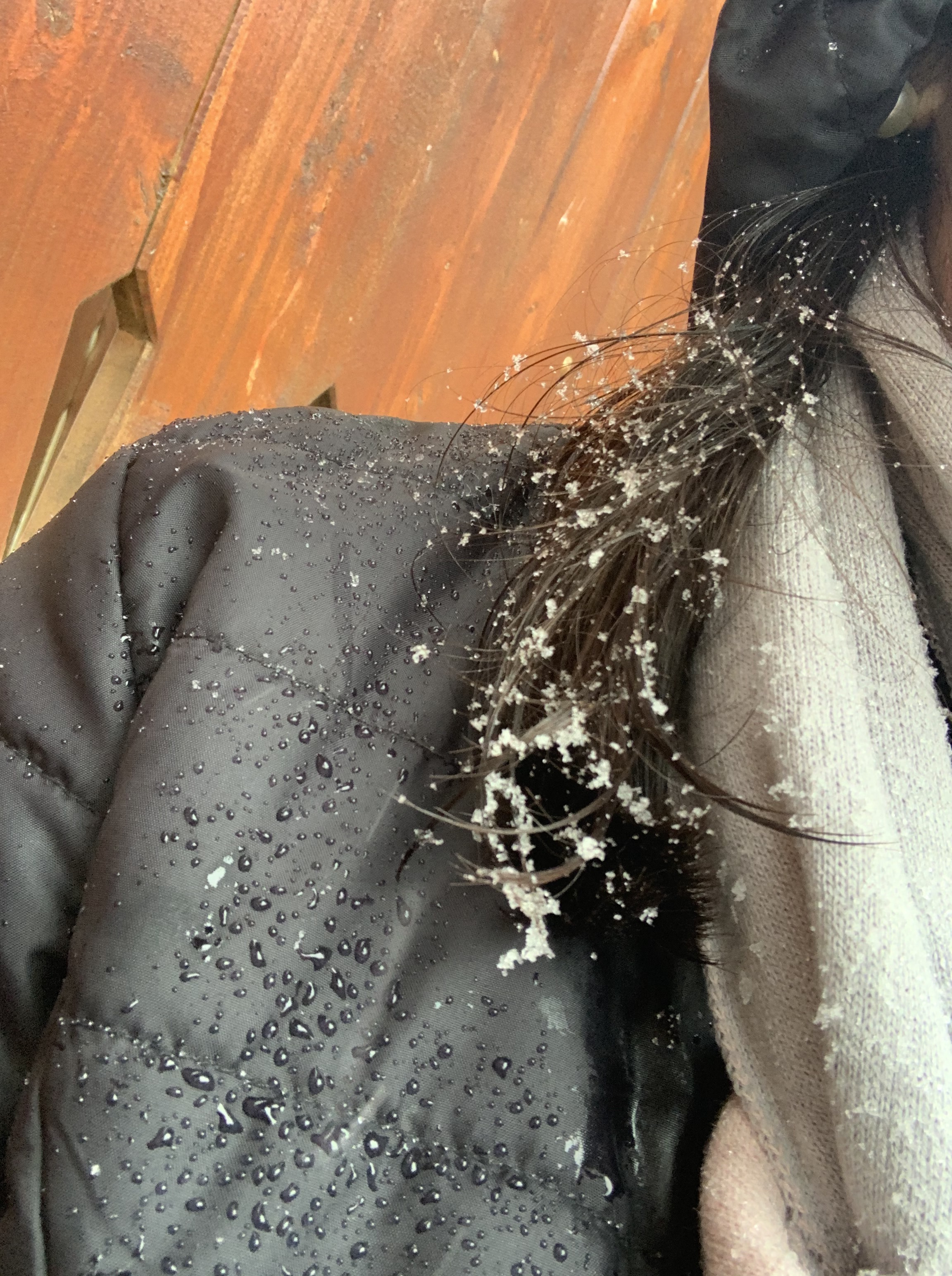 Jaqueta e cachecol Fiero